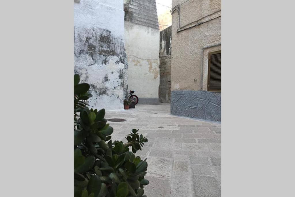 Historic Apartment In Centre Of City 100M To Sea Monopoli Exterior photo
